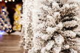 🎄December 12TH | 🎅Photo Minis & Supper with Santa📸
